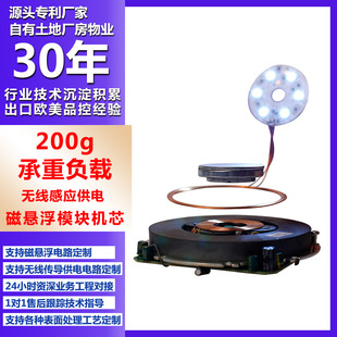 �őҸ�ģ�K���ϵ�yDIY����200gԴ�^�S�ҴőҸ��o����늙Cо����