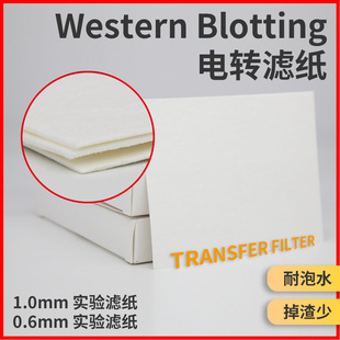 Kexiu Zhun Western Blot Semi-Dry Transfer Thick Wb Filter Paper for Western Blot Experiments, Resistant to Water, Low Residue