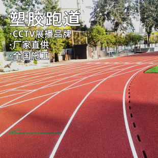 Factory Direct Supply of Plastic Track Private Parts, School Silicon Pu Stadium Epdm Rubber Particles, Plastic Track Materials