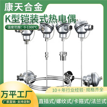 K型铠装高温热电偶WRNK-131WZPK-231铂热电阻PT100探针温度传感器