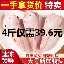新鲜4斤大鸭头生鸭头干锅麻辣鸭头冷冻鸭货卤味食材生鲜商用其他