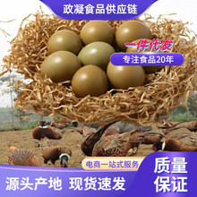 �߲�ɽ�u�����r�ЋD�����oʳ�r��ɢ�B�G�����u�����u���Y���l