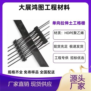 ��������������ŵ؉�·���������o��TGDG��������������ŏS��