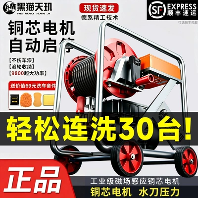 Car washing machine: Cat No-Installation 220V High-Pressure Car