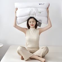 ِzuZqz켏pӸߏoi^pqо