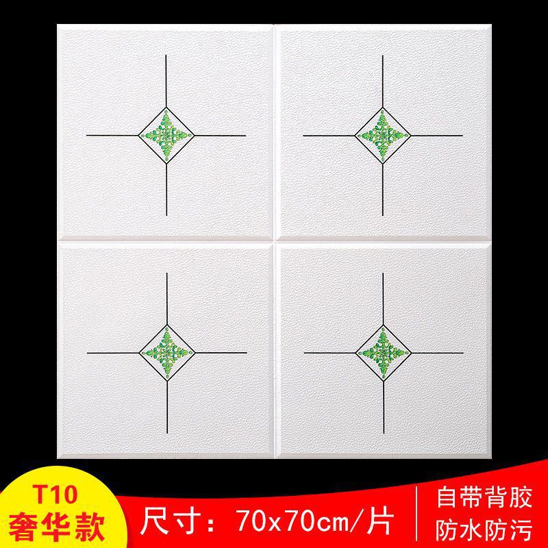 ∮T10 모델 70배 70cm 럭셔리 모델