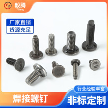 �S��ֱ�N �����c�����ݽz 8.8������͹����˨ �����c�����ݽz�