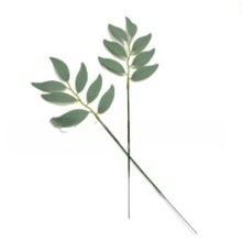Cross-border artificial simulation single small willow leaf…