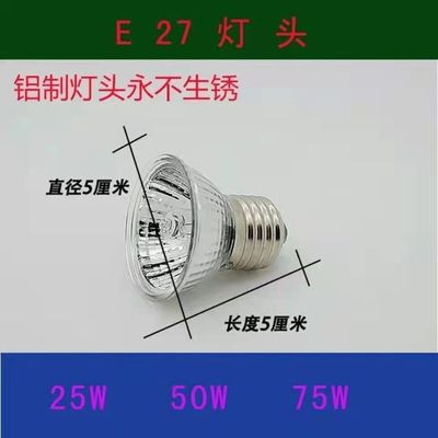 25W 전구 1 팩