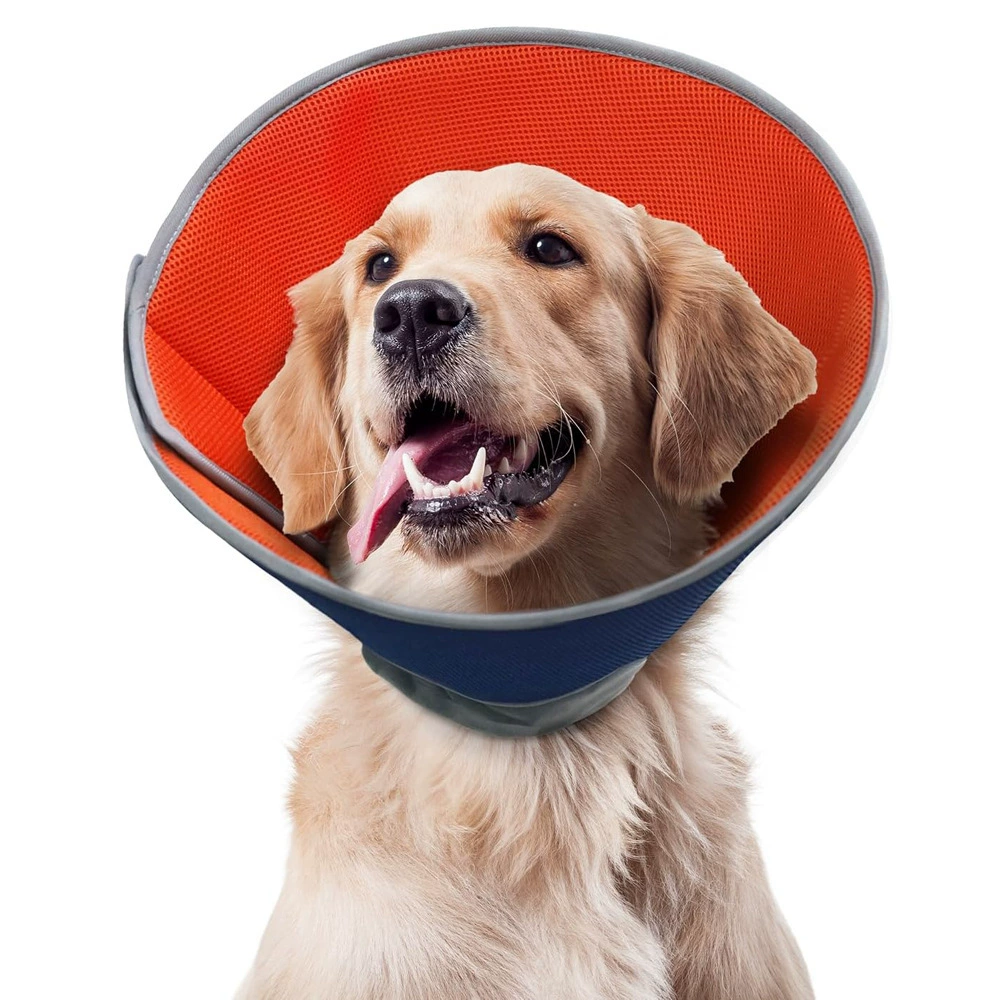 Трансграничный новый ошейник с конусом для восстановления собаки Элизабет, кошка и собака, кольцо для защиты от лизания и царапин, товары для животных