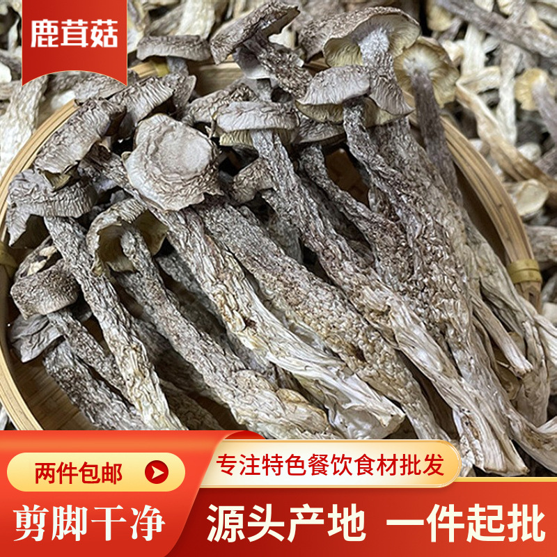 500G鹿茸菇干货厂家直销鹿茸菌干货食用菌干货10斤一箱散称整件