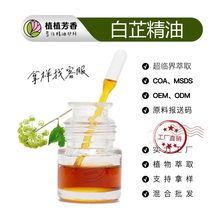 ������ ��Ȼ���ƾ��� ���R����ȡ������ ֲ��η��͏S�Ҽӹ����l