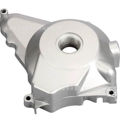Magneto Coil Side Cover – Cylinder and parts