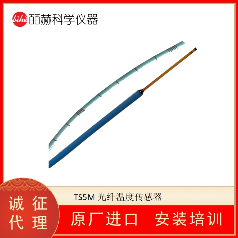 德国WEIDMANN TECHNOLOGIES TS5M光纤温度传感器
