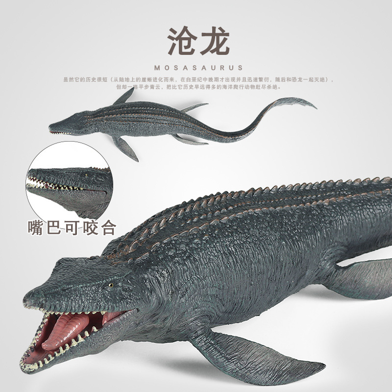 cognitive realistic marine toy