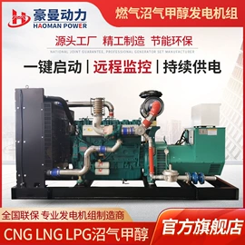 柴油发电机组;自吸泵;燃气发电机组