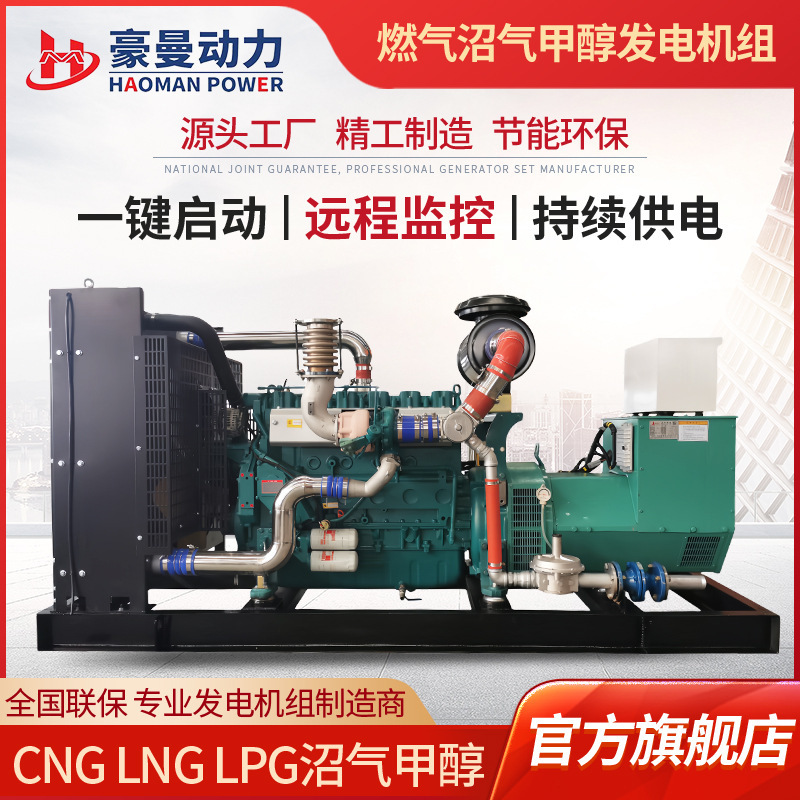 天燃气发电机组150KW甲醇发电机养殖场养猪厂用120KW沼气发电机组|undefined
