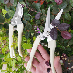 Stainless Steel Floral Shears Flower Cutting Pruning Fruit Tree Garden Branch Shears Household Grafting Gardening Scissors Tools 