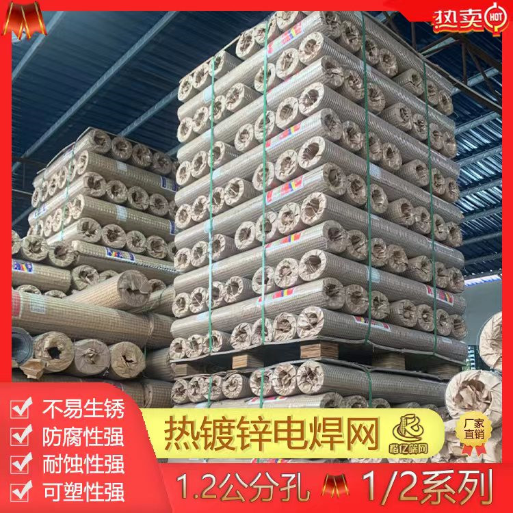 工厂直发镀锌钢丝网热镀锌防锈铁丝网阳台防护网养鸡防鼠防蛇封窗