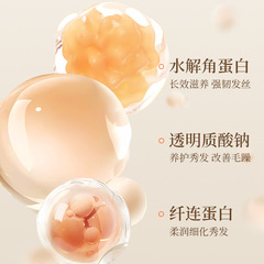 致朵角蛋白氨基酸蓬潤洗髮乳蓬鬆靚澤柔順發毛躁洗髮露廠家批發