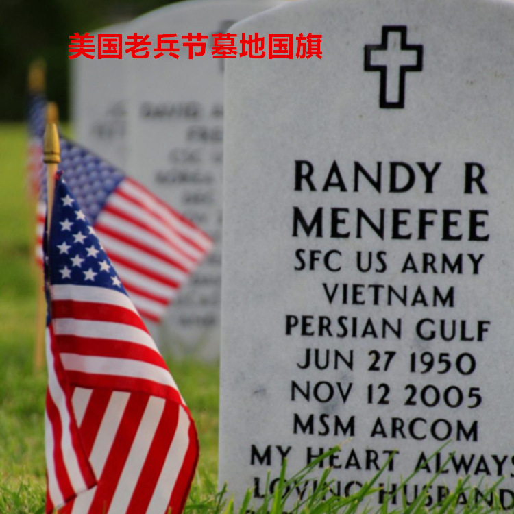 美国老兵节墓地国旗