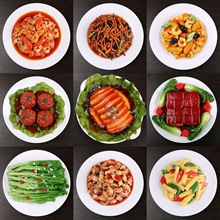 食物食品模型中餐炒菜炖菜排骨假菜红烧肉道具摆设做