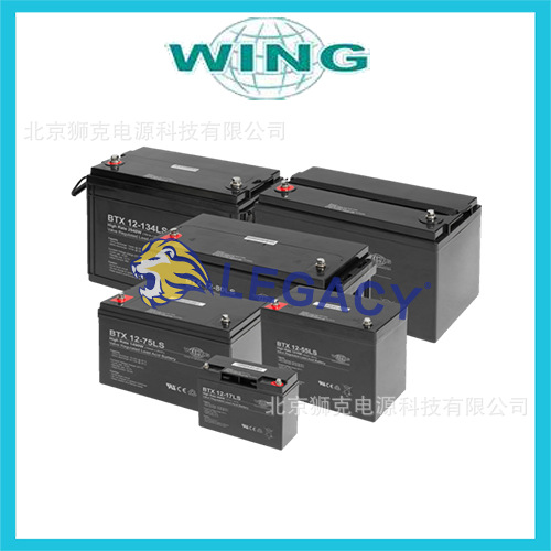 德国WING蓄电池ES12-12  vds 12V12AH F2 免维护  铅酸蓄电池