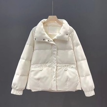 �ǹ�ɫ�޷�Ů�̿�С����2024�귴���¿�����I�p�������������