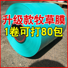 ������Ĥ������Ĥ�r�����ݴ����C���A���A��ϱ�Ĥ��������