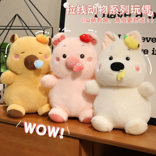 ����������ż��Ƥ����С��ë�q���������ݮ�i��ż�����ރ�ͯ�Y��