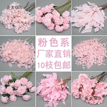 �¿��ˇ��ɫ���Ļ��廨�ٻ���c�������Ļ�Y�����b���̫��