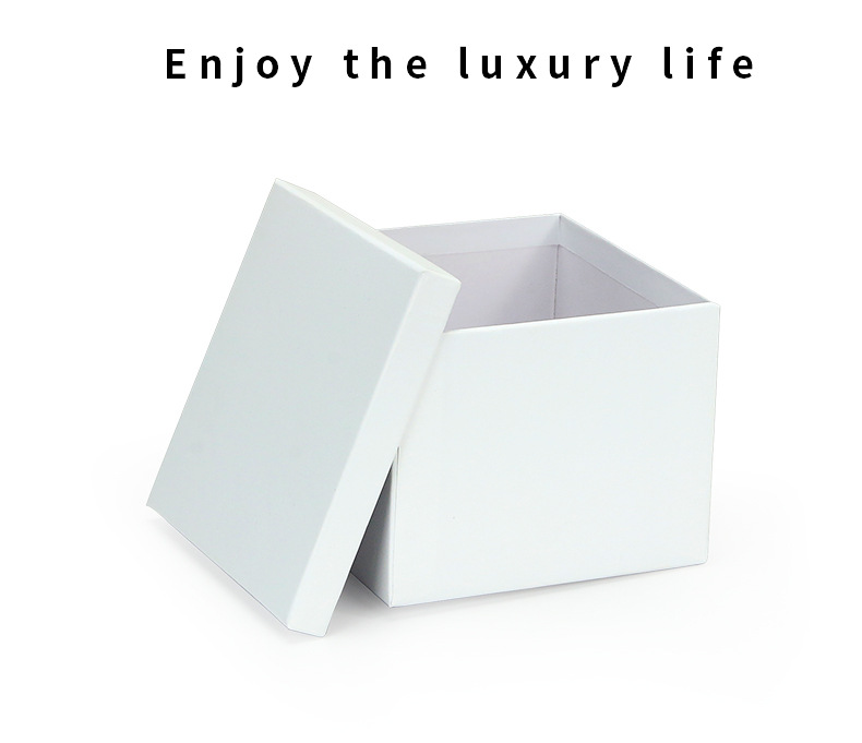 F010- (01-02) Lizard Watch Box - (Xuyue) details page _17.