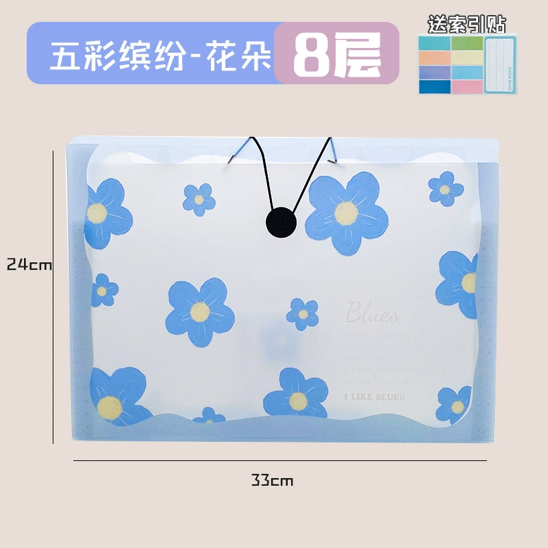 Capacious organ, multilayer bag for documents, storage system, folder for folders
