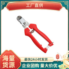 �F؛���P䓸C��ժ�������Ӹ����O����ժ��������֦����ժ������