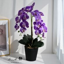 仿真两叉18花蝴蝶兰大盆景桌面假花轻奢客厅装饰品摆件电视柜摆花