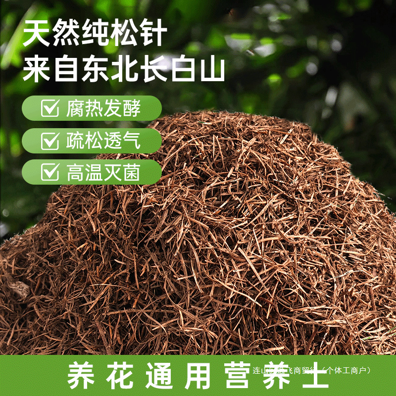 O1CN01oynjUG2EE9Uwn228B_!!2218234948712-