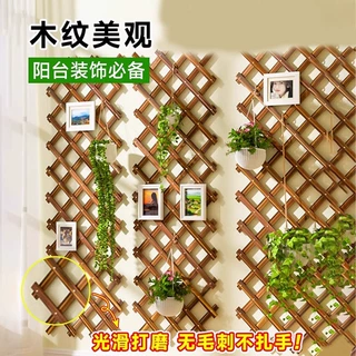 木篱笆爬藤架防腐伸缩木栅栏花园庭院阳台墙面装饰网格花架