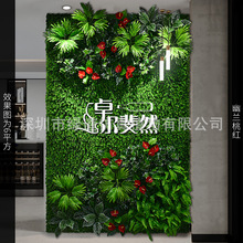 �����m�Ҽt������ֲ�1ƽ���|�����w����Gֲ���bGɫ�쾰
