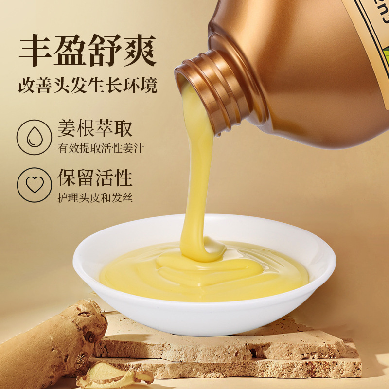 Ginger Shampoo Lao Ginger King Shampoo Anti-Dandruff Refreshing and Fluffy Ginger Shampoo Cream Care Set Wholesale