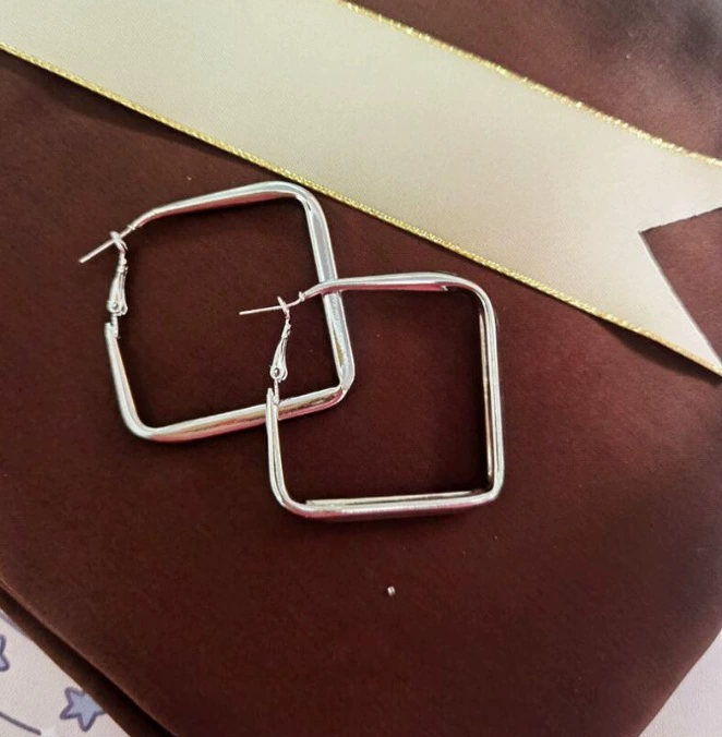 Silver 925 Earrings — Light Luxury Hoops & Drops, High-Quality Sterling, Multiple Sizes