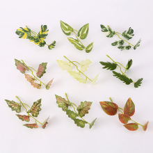 �羳����Gֲ ����G�}�ٻh�ʾW �~���b��@�bɶ���