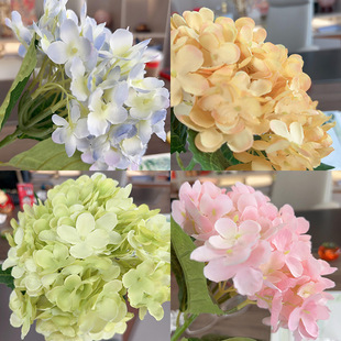 ���潑�򻨆��^�Ųʷ��滨�bc��ѻ�·����c�ٻ�����С����