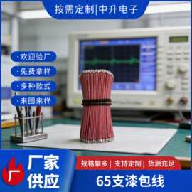65支漆包线 现货65/0.08多股漆包线两头上锡线径1.0mm环保漆包线