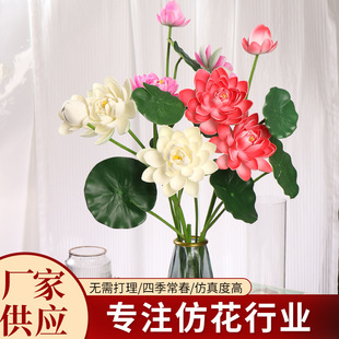 ���滨���l�ɻ��ٻ��͏d�b��� �Ĕz�쾰���ϼٻ��Ʒ�S�����l