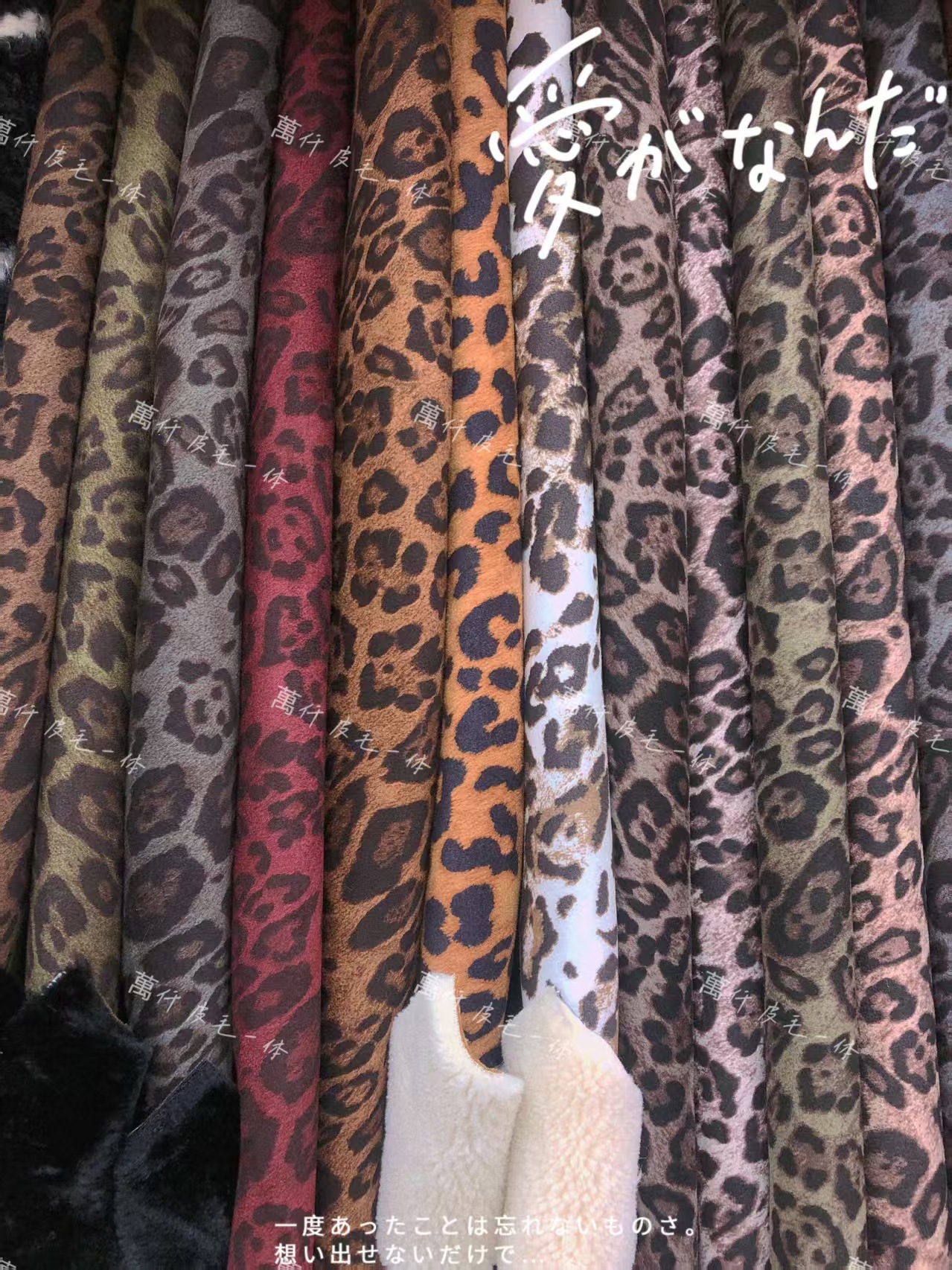 微信图片_202503181354172