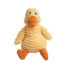 11 types of orange duck