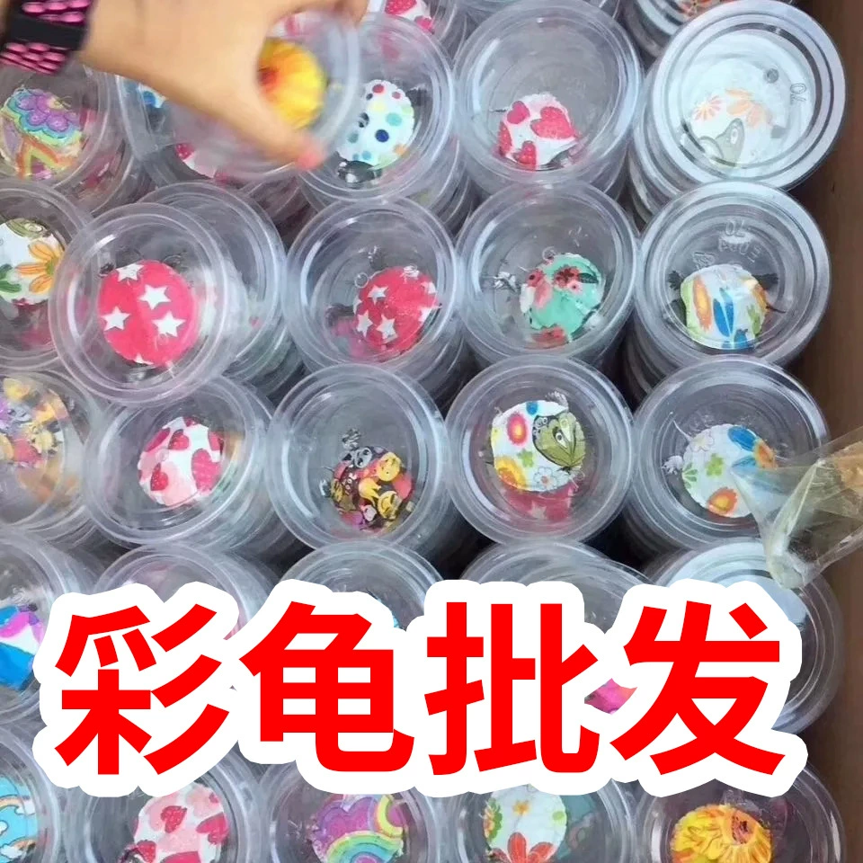 Семицветные маленькие черепахи, жемчужные черепахи, рассада бразильских черепах, китайские травяные черепахи, декоративные черепахи, глубоководные желтоухие черепахи, уличные ларьки.