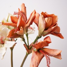 秋色仿真花 君子兰 家居插花装饰假花婚庆拍摄道具婚礼路沿装饰品