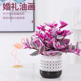 Wedding Oil Painting Potted Chlorophytum and Lotus Imported Indoor Plant Foliage Purple Orchid Absorbs Formaldehyde, Refreshes and Is Interesting and Fresh