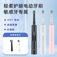 工厂直供旋转电动牙刷成人充电式声波牙刷 防水电动牙刷 OEM 定制